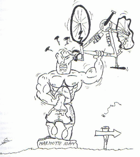 bodybuilder